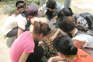 公司开展“活力人文，乐享生活”员工干部素质拓展活动