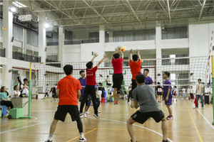 “共青团杯”气排球赛完美收官 太阳成集团tyc7111cc收获双季军