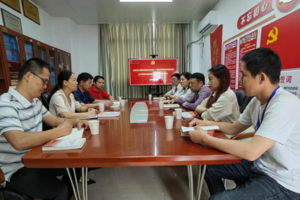 【党建双创·辐射引领】太阳成集团tyc7111cc艺术史论系教工党支部向校内外党支部分享全国样板支部培育创建工作经验